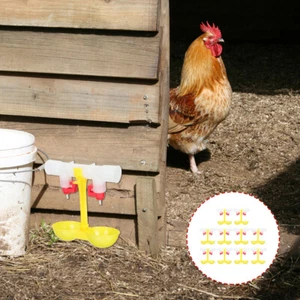10 Pcs Hühner- Und Enten -Trinkwasserhersteller Selbsttränke Für Automatische - Bild 1 von 12