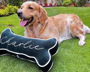 Personalized Dog Bone Pillow – Custom Name Pet Cushion – Large Dog Bed Accessory - Picture 1 of 10