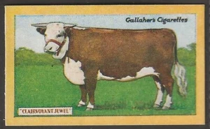 GALLAHER-CHAMPION ANIMALS & BIRDS OF 1923-#17- CLAIRVOYANT JEWEL - Picture 1 of 2