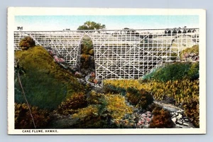 Postal Cane Flume Hawaii A-93186 sin publicar - Imagen 1 de 2