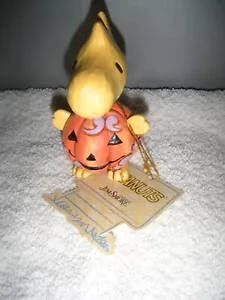 Jim Shore Peanuts - Woodstock als Kürbis Mini Figur - Bild 1 von 1