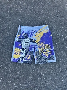 Y2K Los Angeles Lakers LeBron James Basketball Shorts - Picture 1 of 7