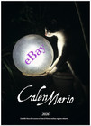 "CalenMario 2026" d