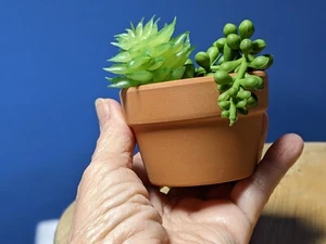 2.7 Inch Shallow Terracotta pots,Small Hand Craft Pot,Mini Clay Cactus/Succulent - Picture 1 of 4