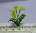 Maison de poupée miniatures fleurs Calla Lily échelle 1:12, jardin (LG)