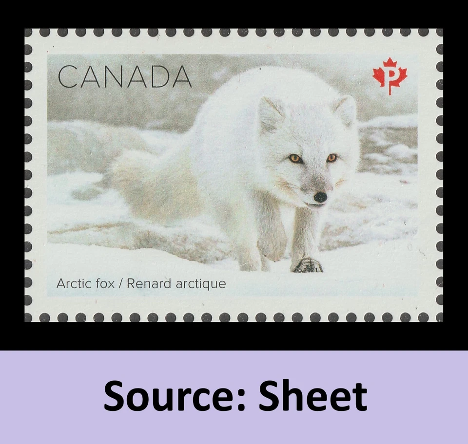 Canada 3275e Snow Mammals Arctic Fox P single (from sheet) MNH 2021 - Image 1 of 1