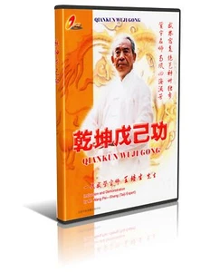 Wu Style TaiChi Qian Kun Wu Ji Internal Method by Wang Peisheng 3VCDs - Imagen 1 de 1