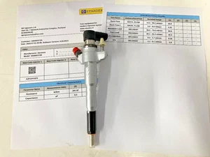 166000372R Siemens/Continental Common Rail Re-man Diesel Injector - Picture 1 of 2