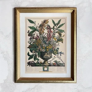 Vintage Bombay Robert Furber "January" Floral Of The Month Framed Print In Box - Picture 1 of 6