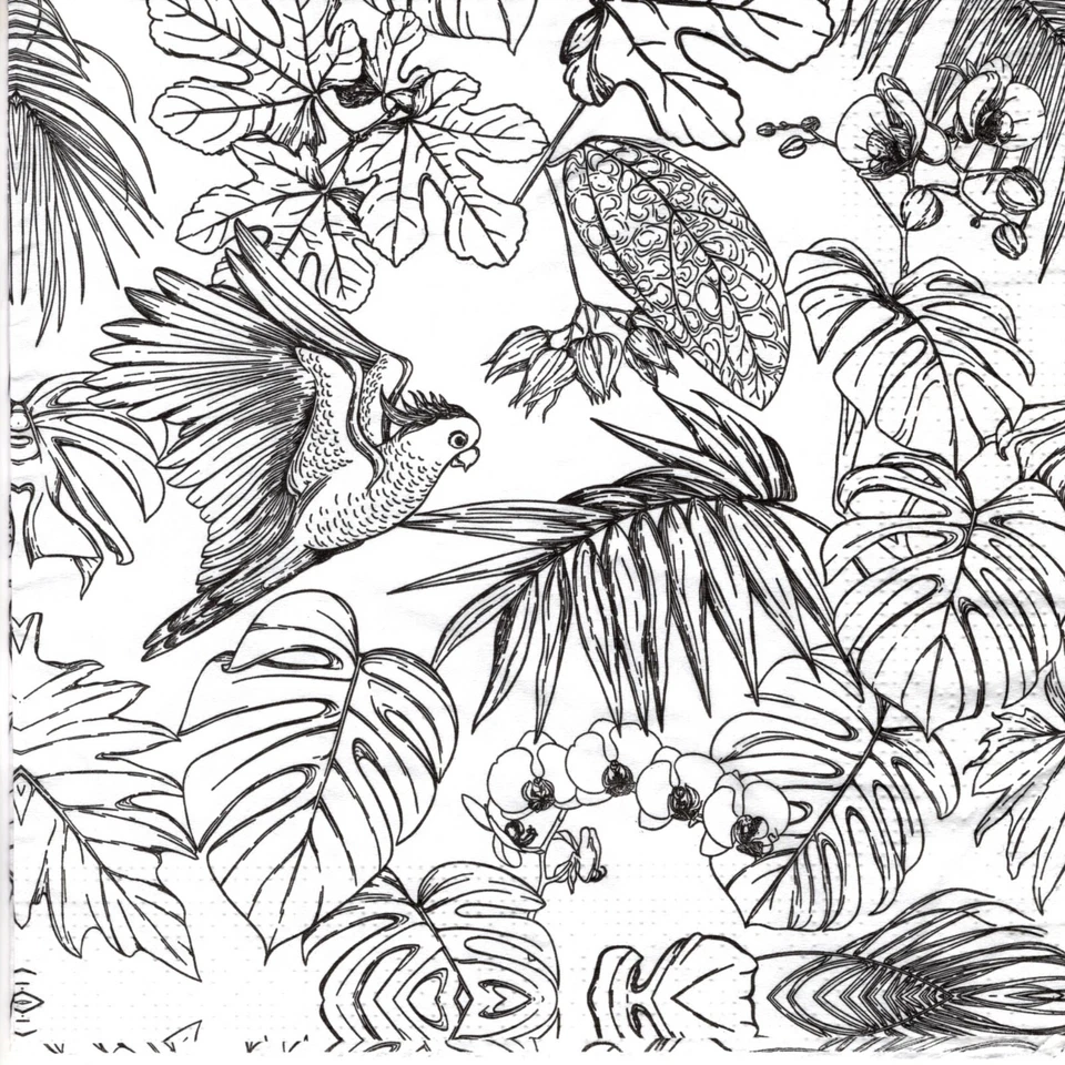 SERVIETTES EN PAPIER OISEAUX PERROQUET NOIR/BLANC. PAPER NAPKINS BIRDS PARROT