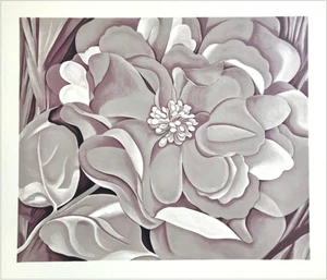 Georgia O'Keeffe THE WHITE CALICO FLOWER Lithograph Flower Close Up Taupe Beige - Picture 1 of 4