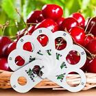 Cherry Fruit Caliper 7 Holes Ruler for Fruits for Cherry Blueberry Lanberry