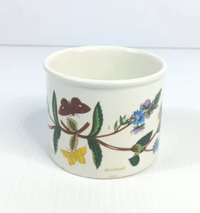 The Botanical Garden Portmeirion Large Ramekin Planter Pot Veronica Chamaedrys - Picture 1 of 13