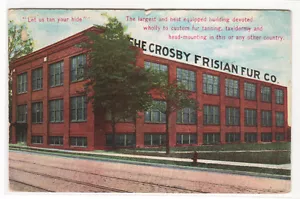 Crosby Frisian Fur Co Factory Rochester New York 1914 Werbepostkarte - Bild 1 von 1