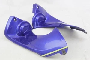 PLÁSTICO INTERIOR CARENA DELANTERO YAMAHA YZF R6 2001 2002 CÚPULA PANEL INTERIOR - Imagen 1 de 9