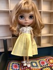 Pre-owned Blythe *Free Shipping*