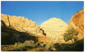 Standard Chrome Postcard - Capitol Reef National Park, Utah - Capitol Dome ('85) - Picture 1 of 2