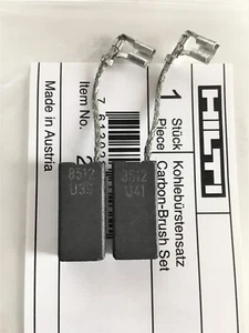 Escobillas Carbón HILTI TE70 TE80 TE40 TE50 TE500 TE56 TE60 TE46 #366126 #330956 - Imagen 1 de 7
