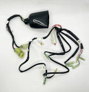 HONDA NT700 DEAUVILLE HEATED GRIP WIRING HARNESS 08T50-MEW-801 GENUINE NOS - Picture 1 of 1