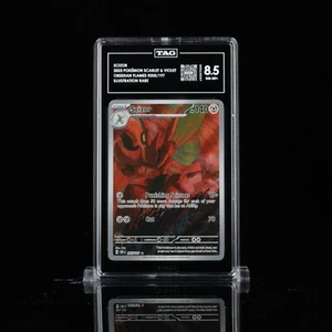 Tag 8,5 NM MT+ Scizor 205/197 Obsidian Flames Holo Illustration Rare - Bild 1 von 2