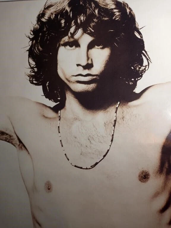 Doors Concert Poster FREE SHIPPING 12"x18" - Image 1 of 1