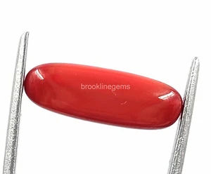 Piedra preciosa suelta opaca Italia corte elegante 7 quilates coral rojo natural certificado EGL - Imagen 1 de 7