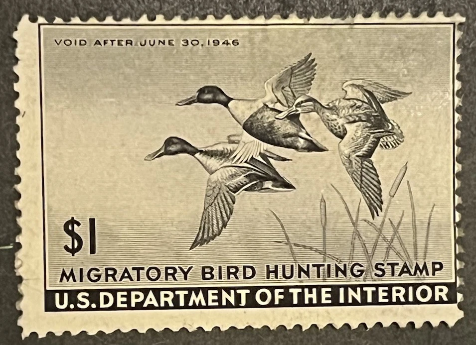 Travelstamps: 1945 US stamps Scott #RW12 Unsigned Paper Remnant - Imagem 1 de 4