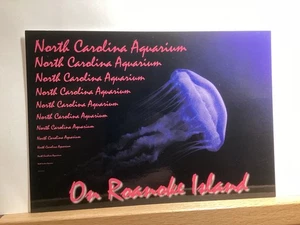 North Carolina Aquarium on Roanoke Island, NC - Vintage Postcard - Picture 1 of 3