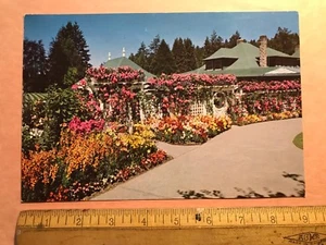 The Butchart Gardens VICTORIA British Columbia BC Early Unused Postcard Oversize - Bild 1 von 2