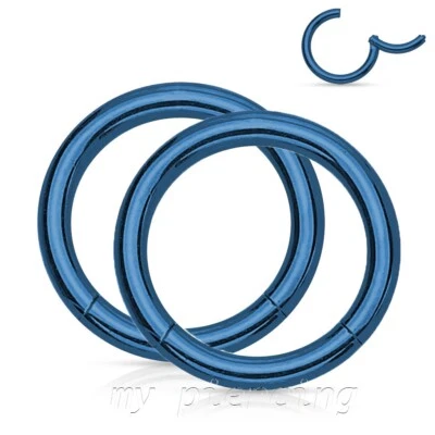 2 piezas. Pendiente anillo segmento sin costuras con bisagras cartílago labret tabique 20G a 8G Foto 1 de 4