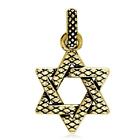 Mens Large Reptile Scale Snake Skin Texture Jewish Star of David Charm in 18K Ye