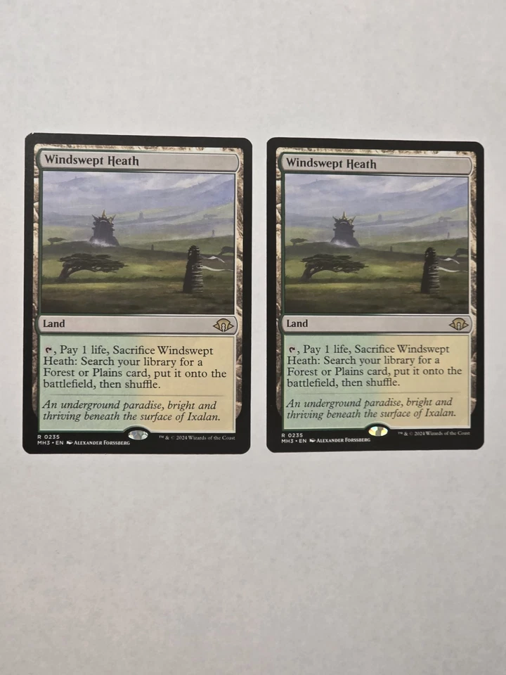 2x Windswept Heath - Modern Horizons 3 - MH3 - Near Mint - MTG - Image 1 of 1