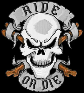 Skull Ride or Die XL  crâne ecusson brodé patche Thermocollant patch - Imagen 1 de 1