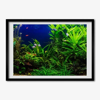 Tulup Bild MDF-gerahmte Wand-Dekor 70x50cm Bild Zimmer Fische in einem Aquarium - Bild 1 von 4