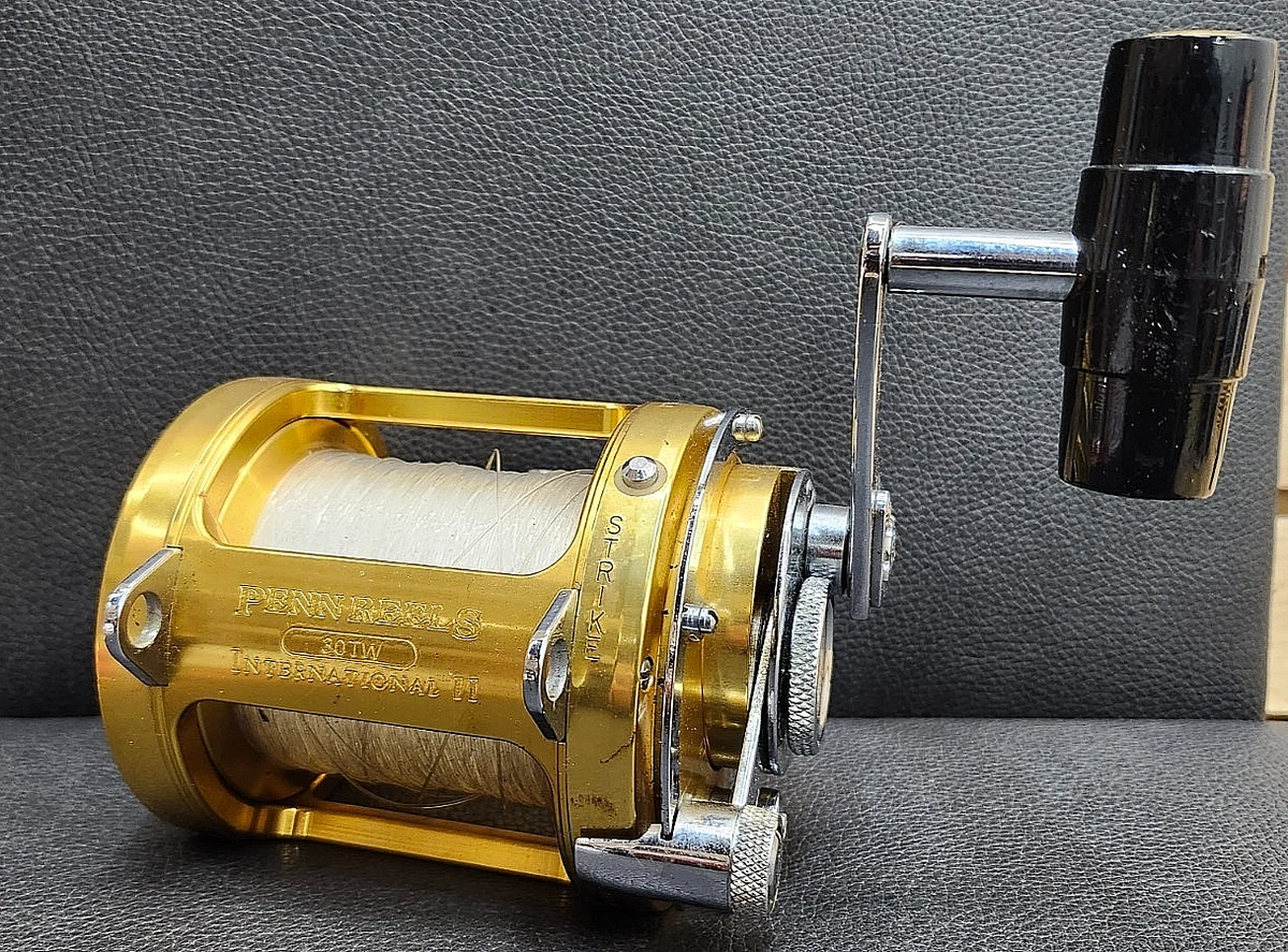 Penn International 30tw | eBay