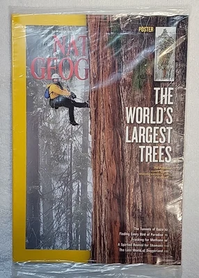 National Geographic December 2012 The World’s Largest Trees Redwoods with Insert - Image 1 of 4