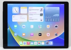 Apple iPad Pro 256GB Wi-Fi + Cellular 12.9" ML3T2LL/A Space Gray - Picture 1 of 22
