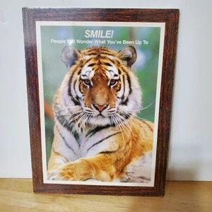 Vintage 80er Tiger Smile! People Will Wonder What You've Been Up To Poster Neu - Bild 1 von 3