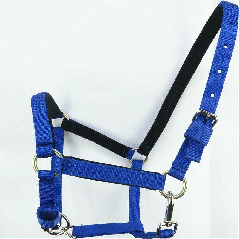 Nylon Headcollar Horse Halter Adjustable Pony Cob Full All Sizes SPW - Image 1 of 4