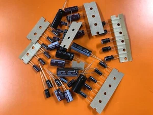 Nanao MS-2932 Cap Kit for Monitor Repair - All NICHICON Caps - Picture 1 of 2