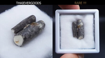 SARIRA PRA TATH MONK AONG-KU-LI-MA-LA DRAGON CAVE BUDDHA RELICS 泰国 AMULET 2 号 — 第 1/4 张图片