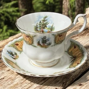 Juego de tazas y platillos de pino nudoso Royal Albert de colección Bone China England - Imagen 1 de 6