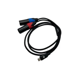 Cable de actualización Strauss & Wagner Bond doble XLR macho a USB-C macho - Imagen 1 de 1