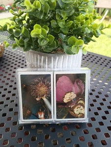 New in Plastic Case Set Of 2 Romanesque Sealed Original Playing Cards "BOUQUET"  - Picture 1 of 3