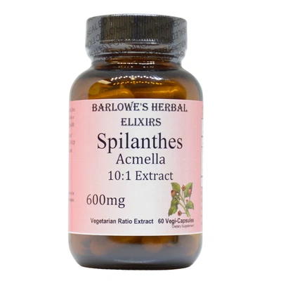 SPILANTHES ACMELLA | 10:1 EXTRACT | 600 毫克每胶囊 60 粒蔬菜胶囊 — 第 1/4 张图片
