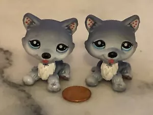 Hasbro LPS Littlest Pet Shop 2010 coppia di cani Arctic Husky - Foto 1 di 1