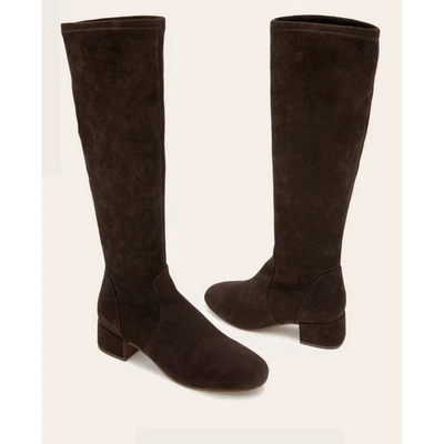 Botas Gentle Souls de Kenneth Cole Ella para mujer 8 gamuza chocolate hasta la rodilla TZP686 Foto 1 de 4