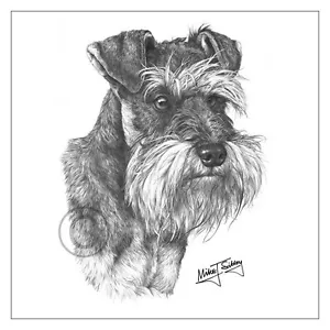Biglietto auguri Mike Sibley Schnauzer razza cane buon compleanno grazie mamma papà - Foto 1 di 3