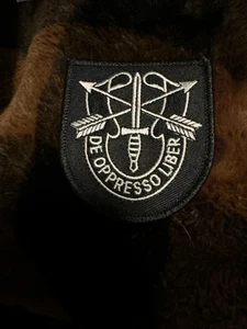 Army Special Forces patch - Picture 1 of 3