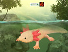 Figurine modèle jouet amphibien salamandre Axolotl par CollectA 80015 neuve